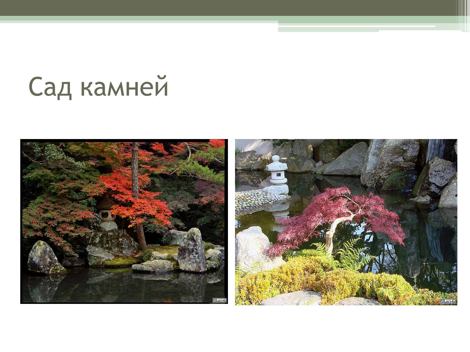 Презентація на тему «Ландшафтные сады Японии» - Слайд #8