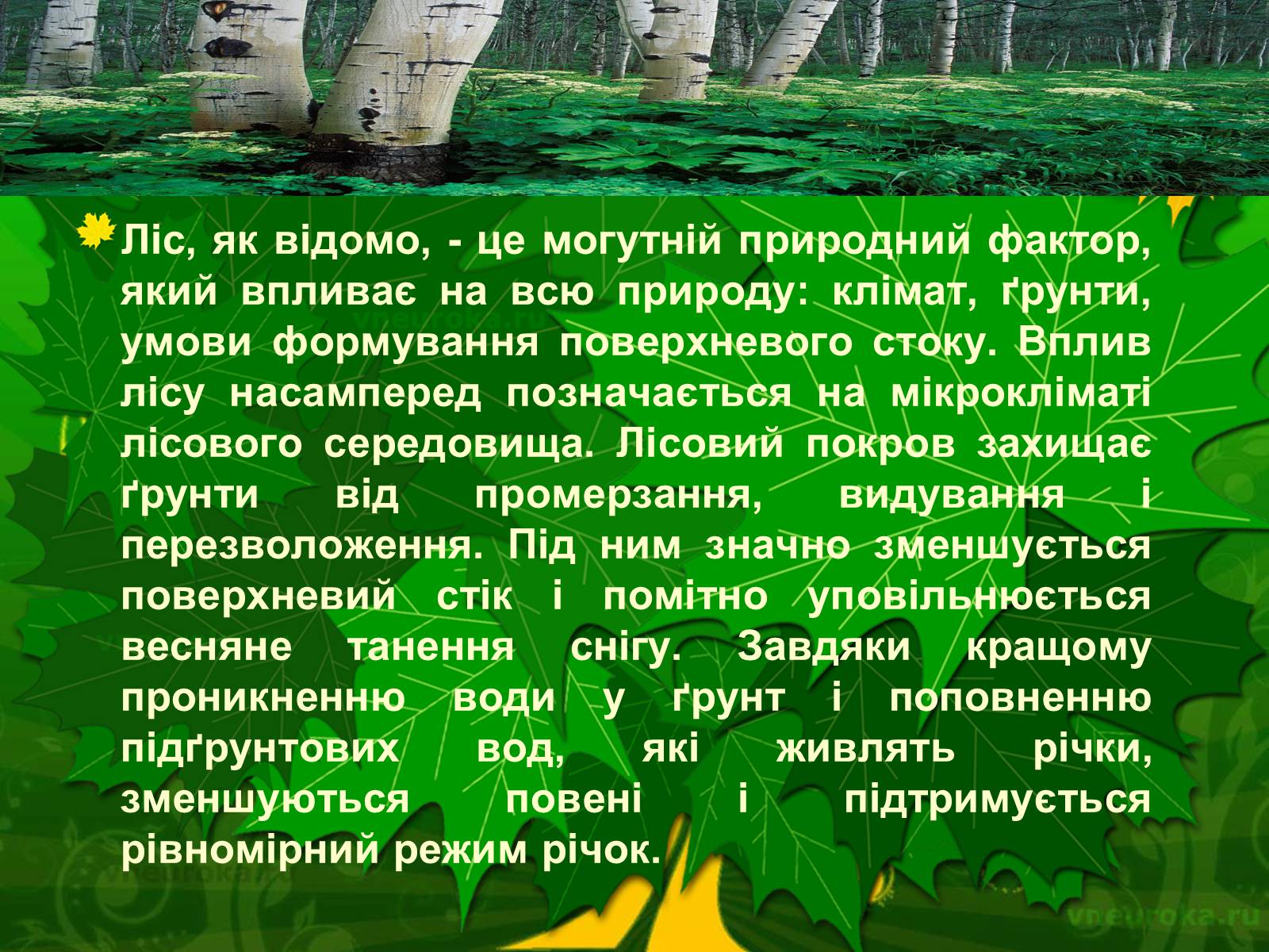 Презентація на тему «Екологічні проблеми лісів України» - Слайд #38