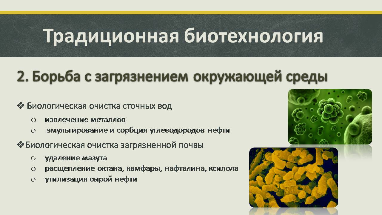 Презентація на тему «Современные направления биотехнологий» - Слайд #4