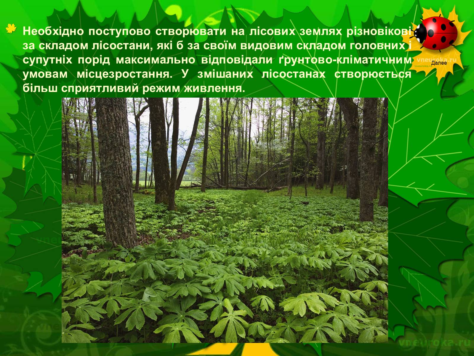 Презентація на тему «Екологічні проблеми лісів України» - Слайд #40