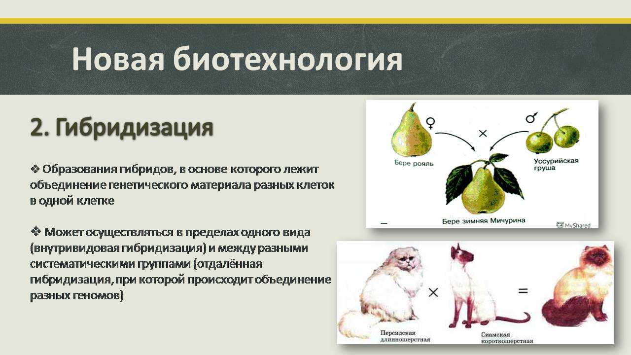 Презентація на тему «Современные направления биотехнологий» - Слайд #7
