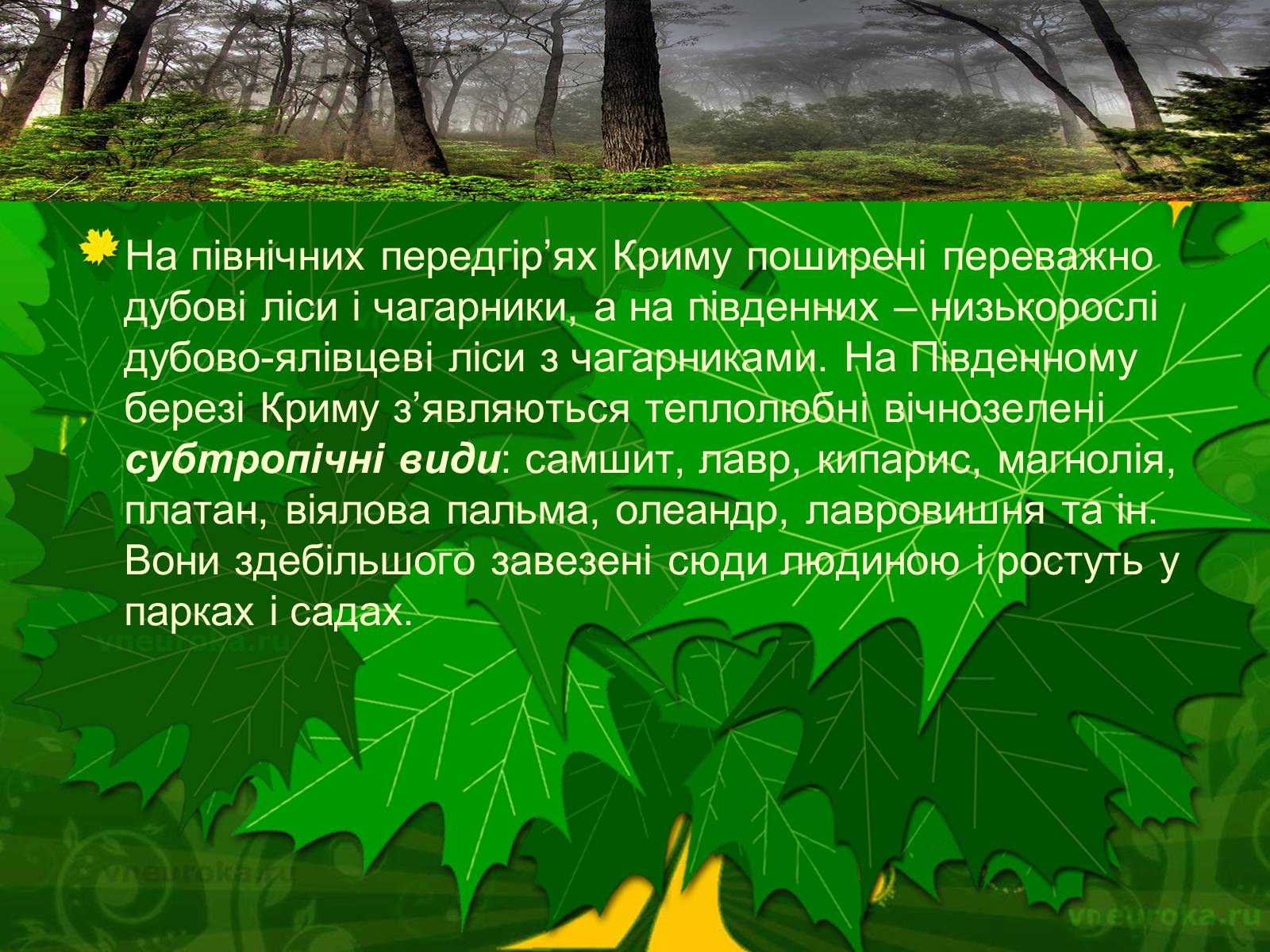 Презентація на тему «Екологічні проблеми лісів України» - Слайд #47