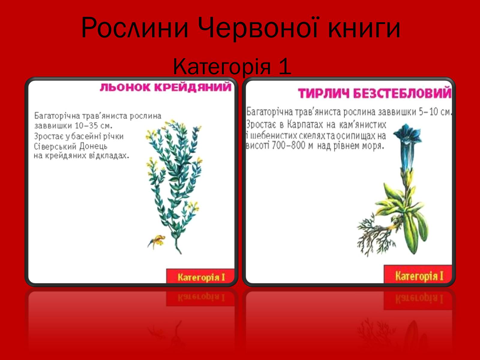 Презентація на тему «Тваринний і рослинний світ Червоної книги» - Слайд #8