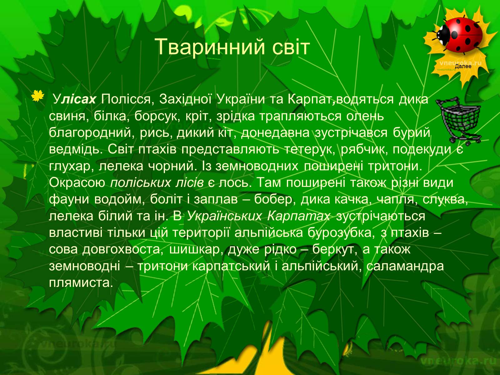 Презентація на тему «Екологічні проблеми лісів України» - Слайд #59