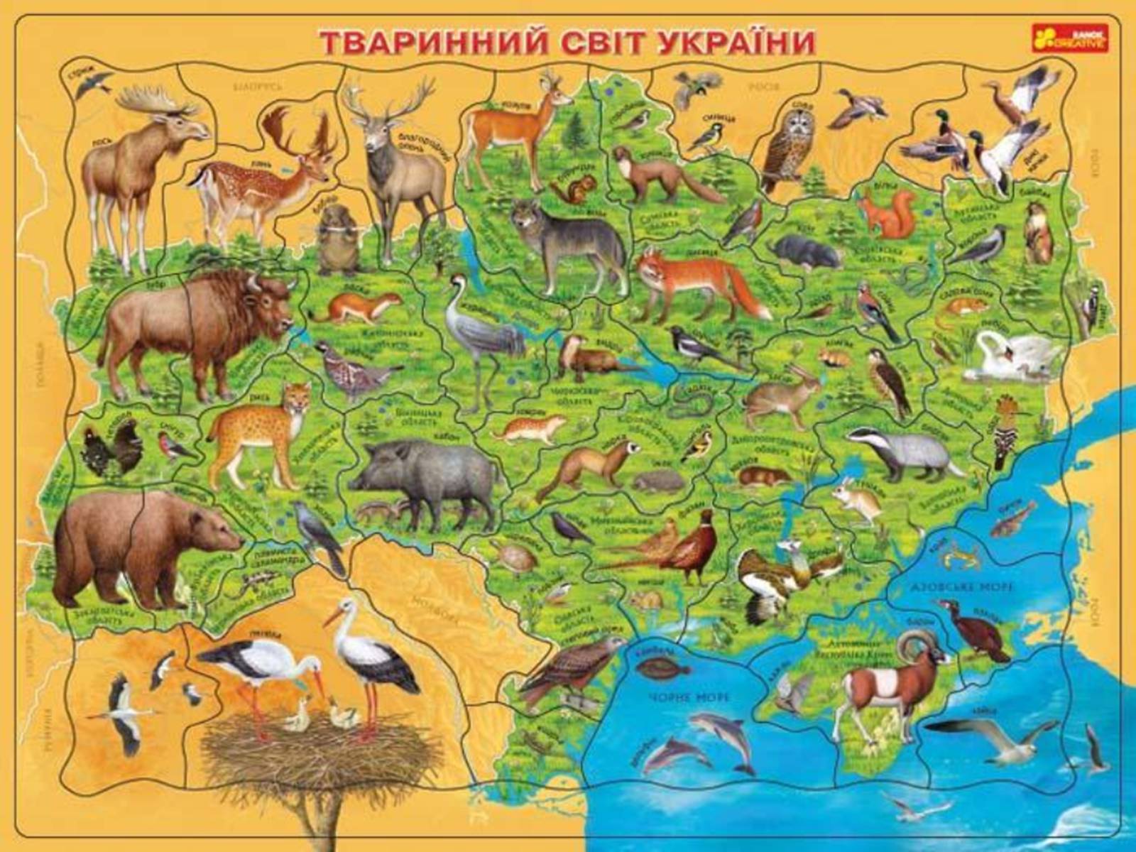 Презентація на тему «Екологічні проблеми лісів України» - Слайд #60
