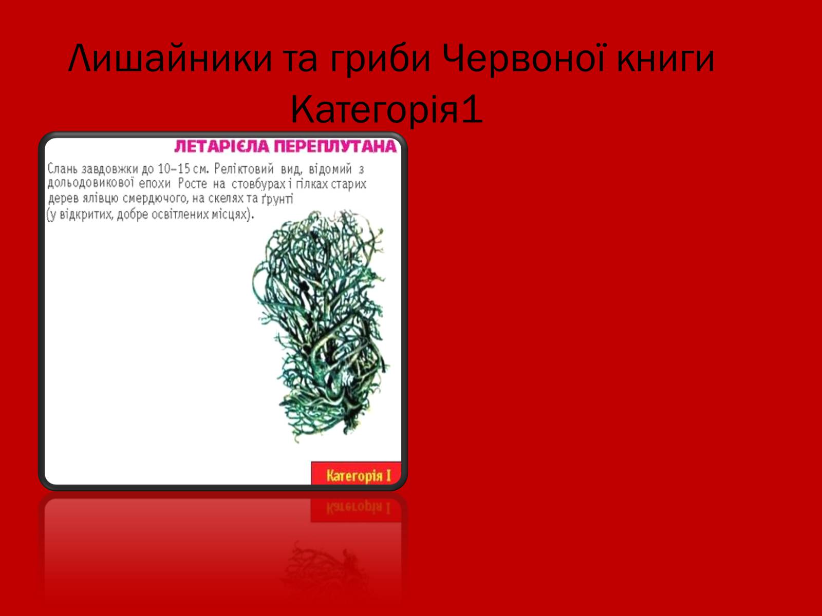 Презентація на тему «Тваринний і рослинний світ Червоної книги» - Слайд #20