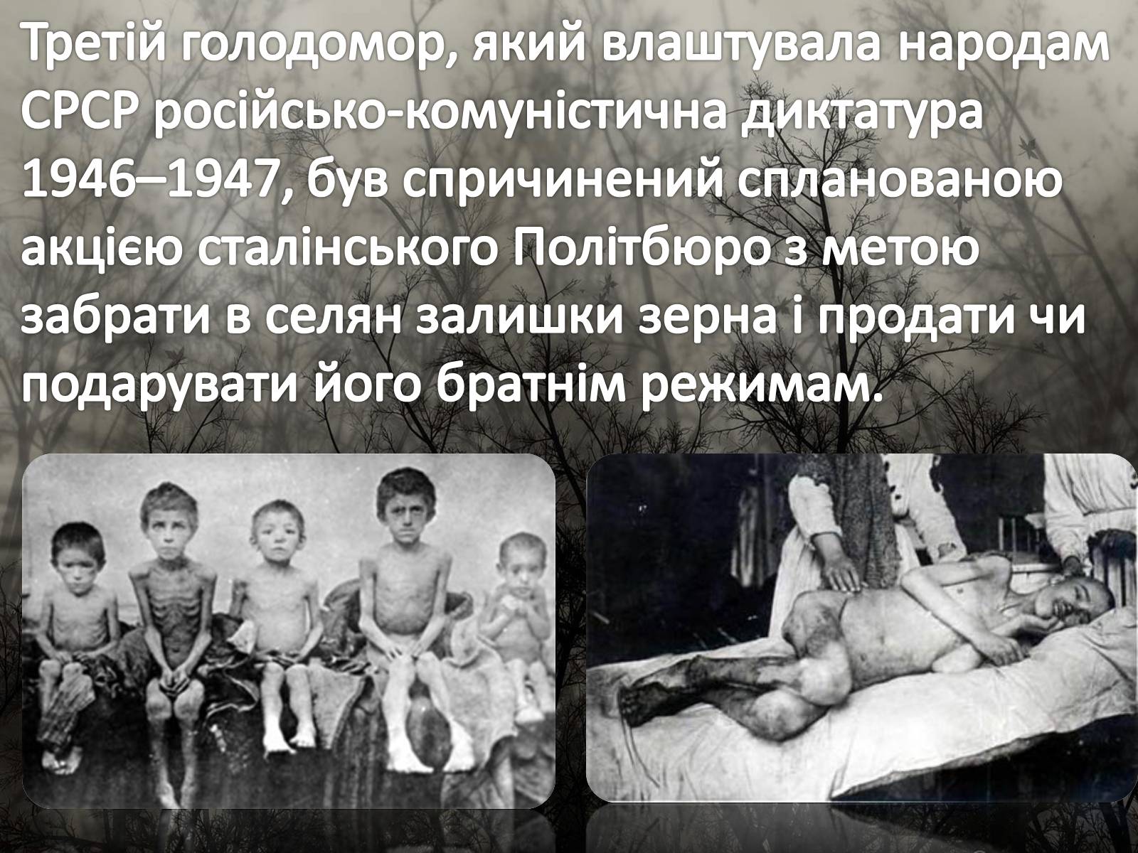 Презентація на тему «Голодомор 1946-1947 років» (варіант 5) - Слайд #2