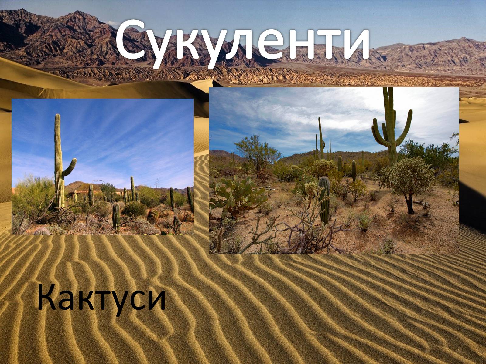 Презентація на тему «Пустелі та напівпустелі» - Слайд #8