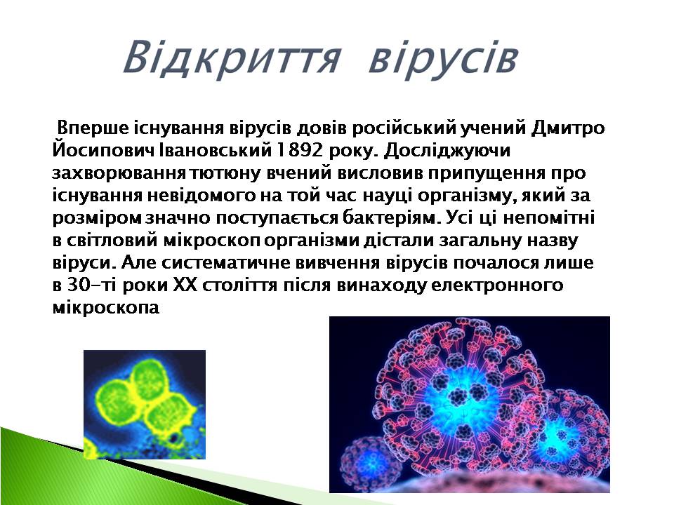 Презентація на тему «Віруси» (варіант 22) - Слайд #3