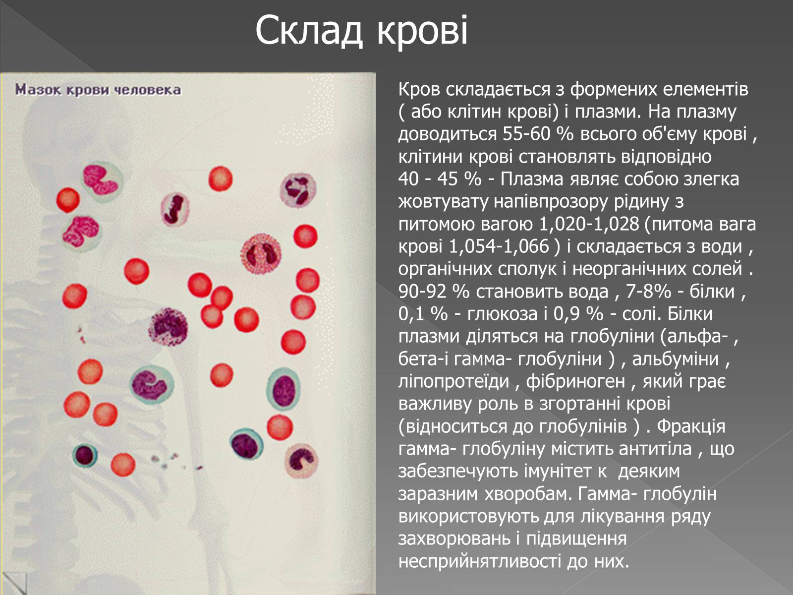 Презентація на тему «Кровоносна система» (варіант 2) - Слайд #3
