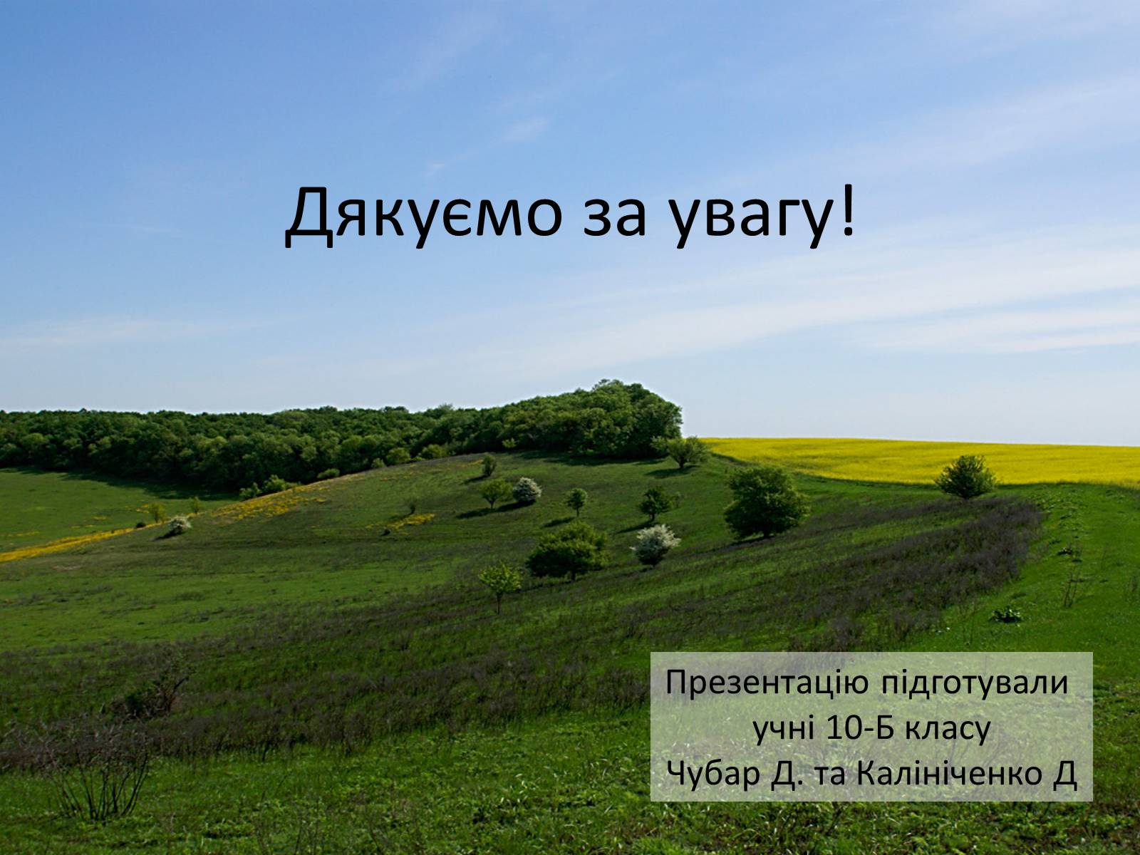 Презентація на тему «Еміграція українських селян 19-20ст» - Слайд #13
