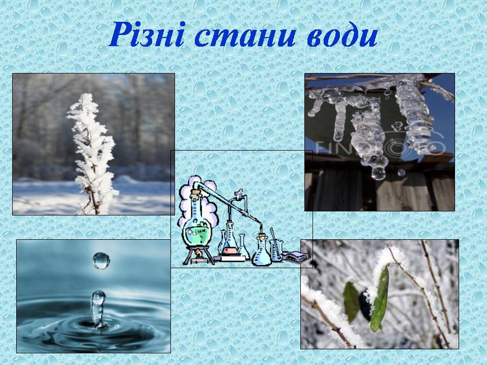 Презентація на тему «Вода в організмах» (варіант 3) - Слайд #7