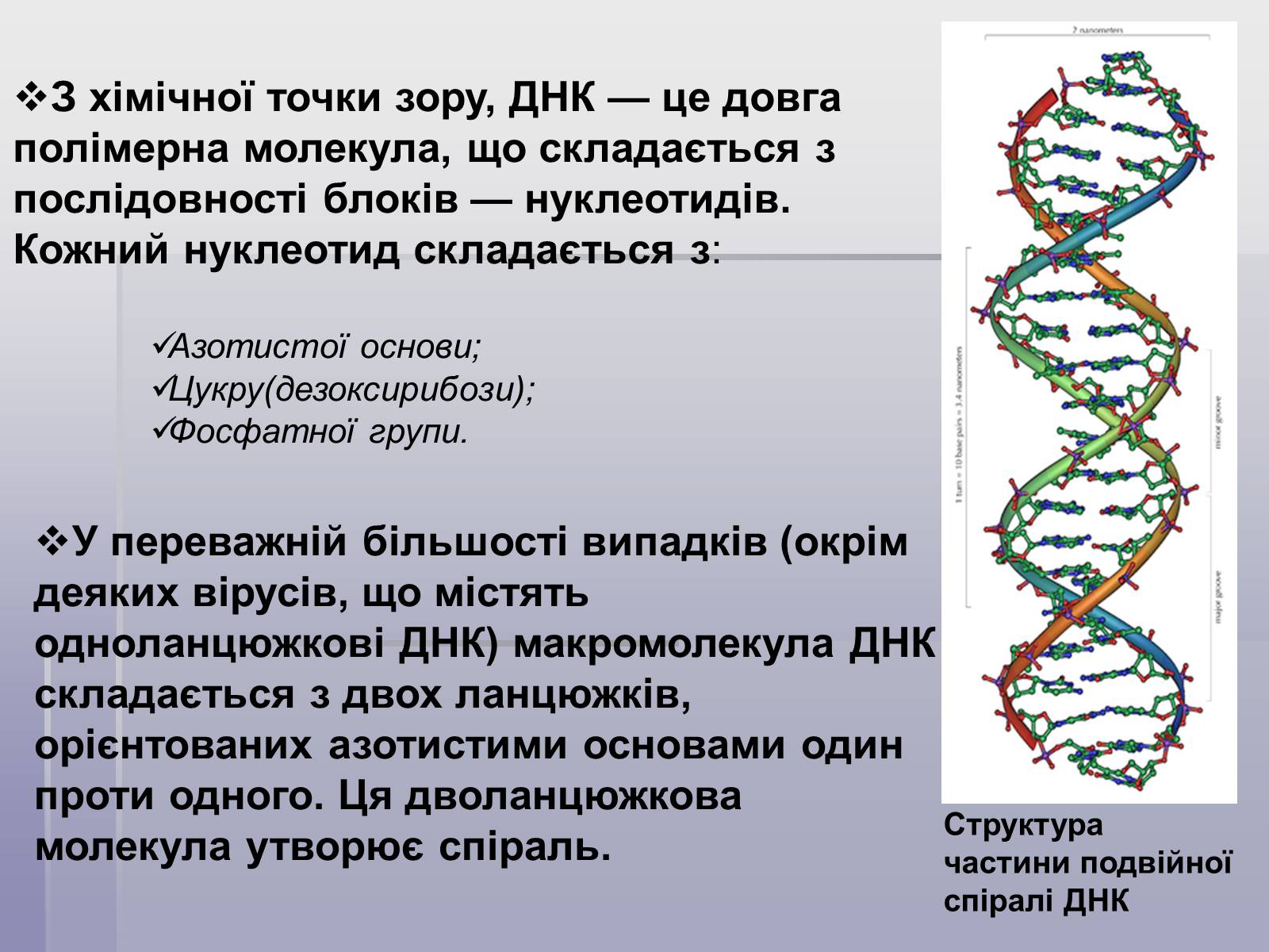 Презентація на тему «ДНК» (варіант 2) - Слайд #4