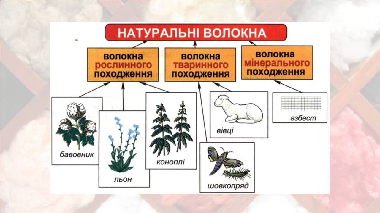 Презентація на тему «Природні волокна» (варіант 3) - Слайд #3