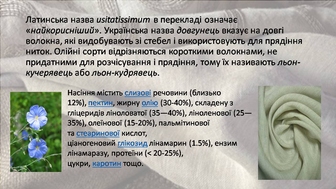 Презентація на тему «Природні волокна» (варіант 3) - Слайд #13