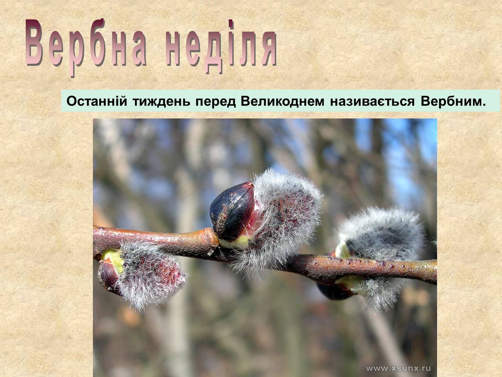 Презентація на тему «Весняні свята на Україні» - Слайд #12