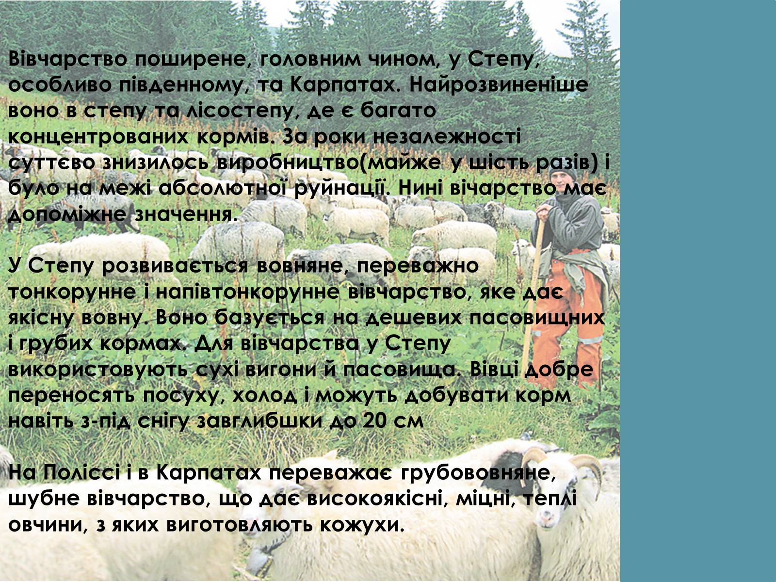 Презентація на тему «Тваринництво України» - Слайд #4