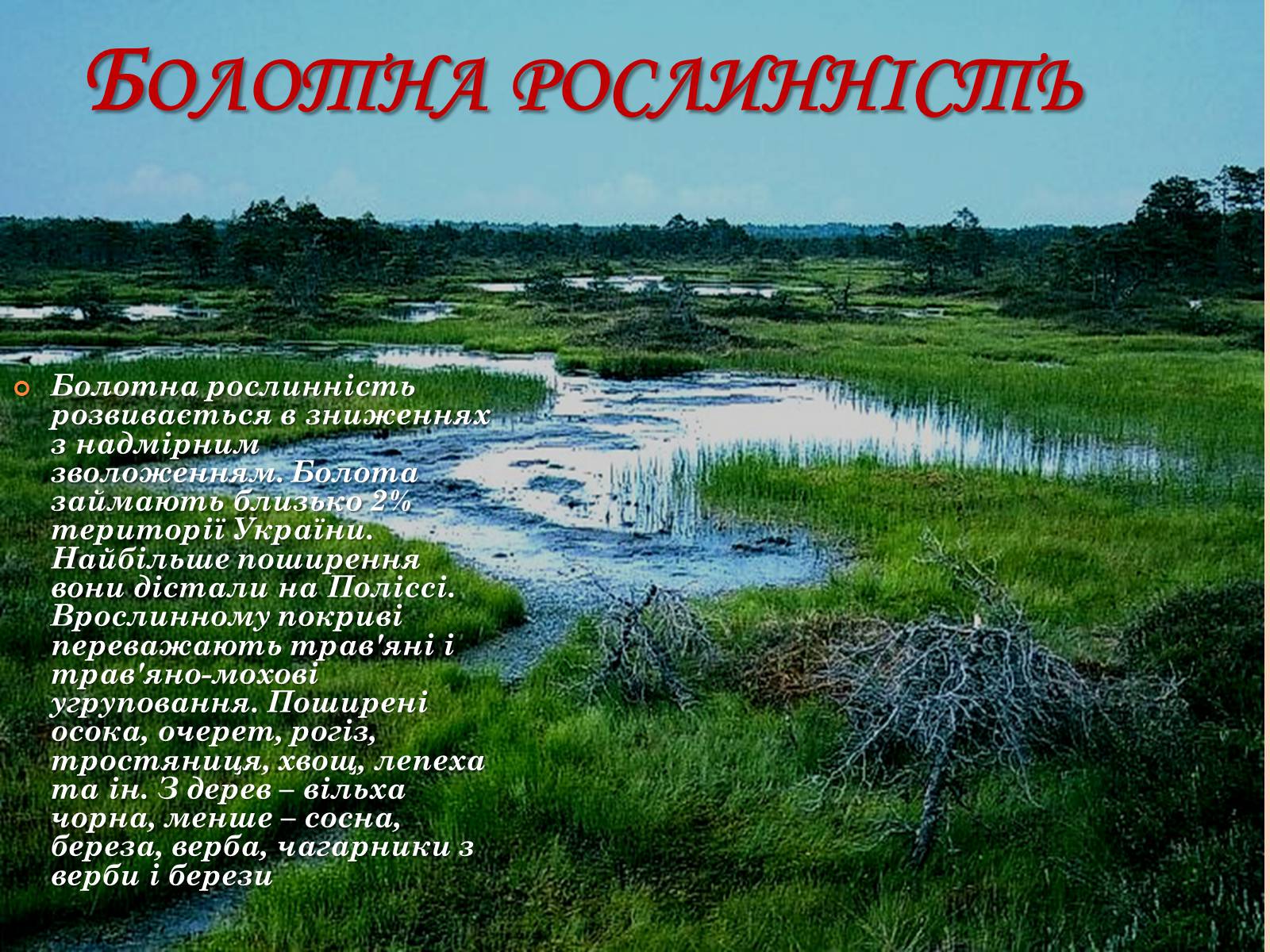 Презентація на тему «Рослинний покрив України» (варіант 2) - Слайд #31