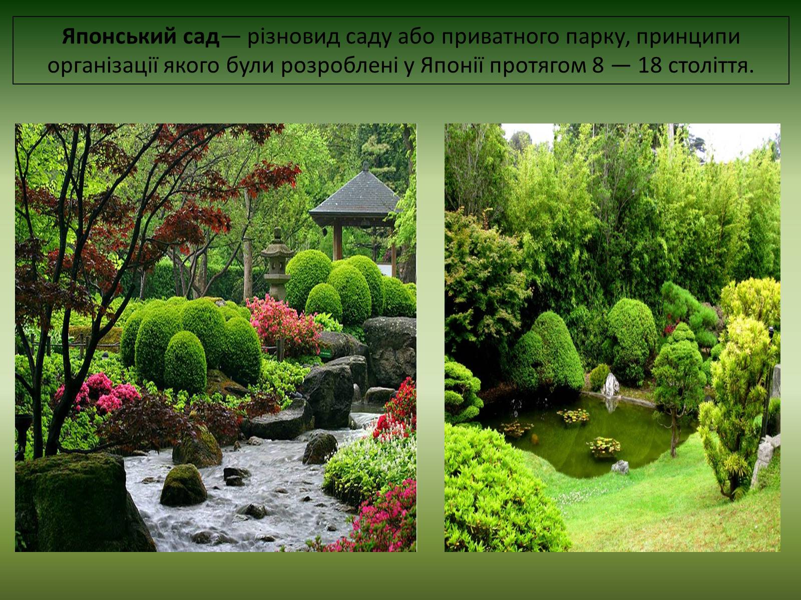 Презентація на тему «Японський сад» (варіант 2) - Слайд #2