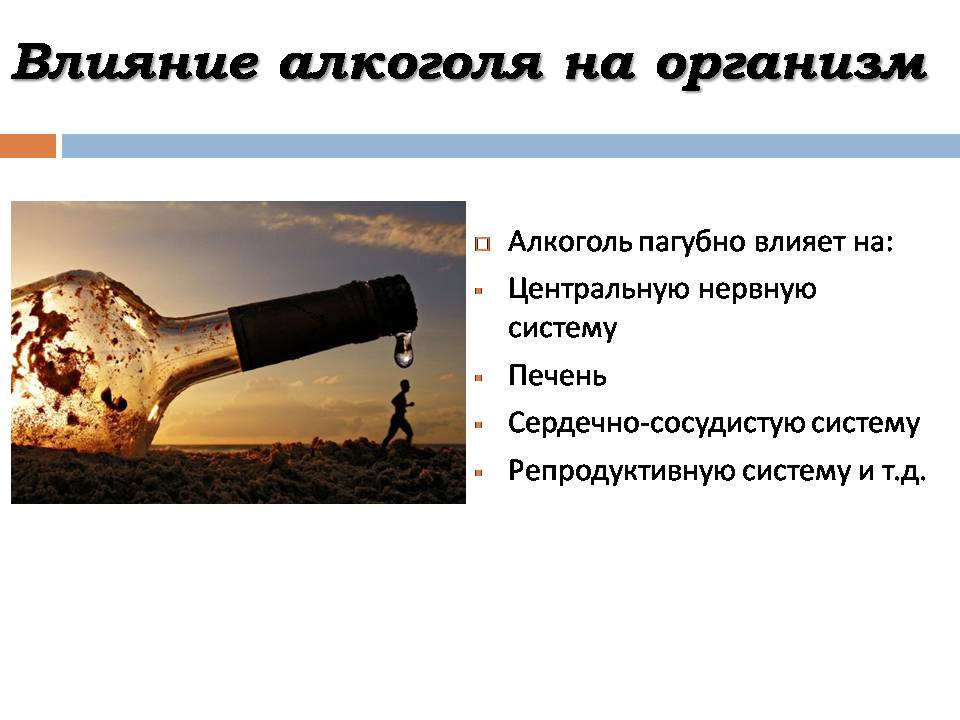 Презентація на тему «Вред алкоголя» - Слайд #5