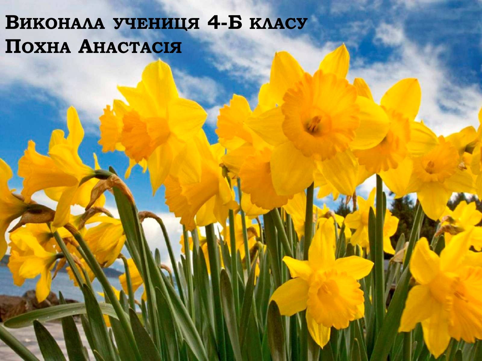 Презентація на тему «Рослинний покрив України» (варіант 2) - Слайд #61