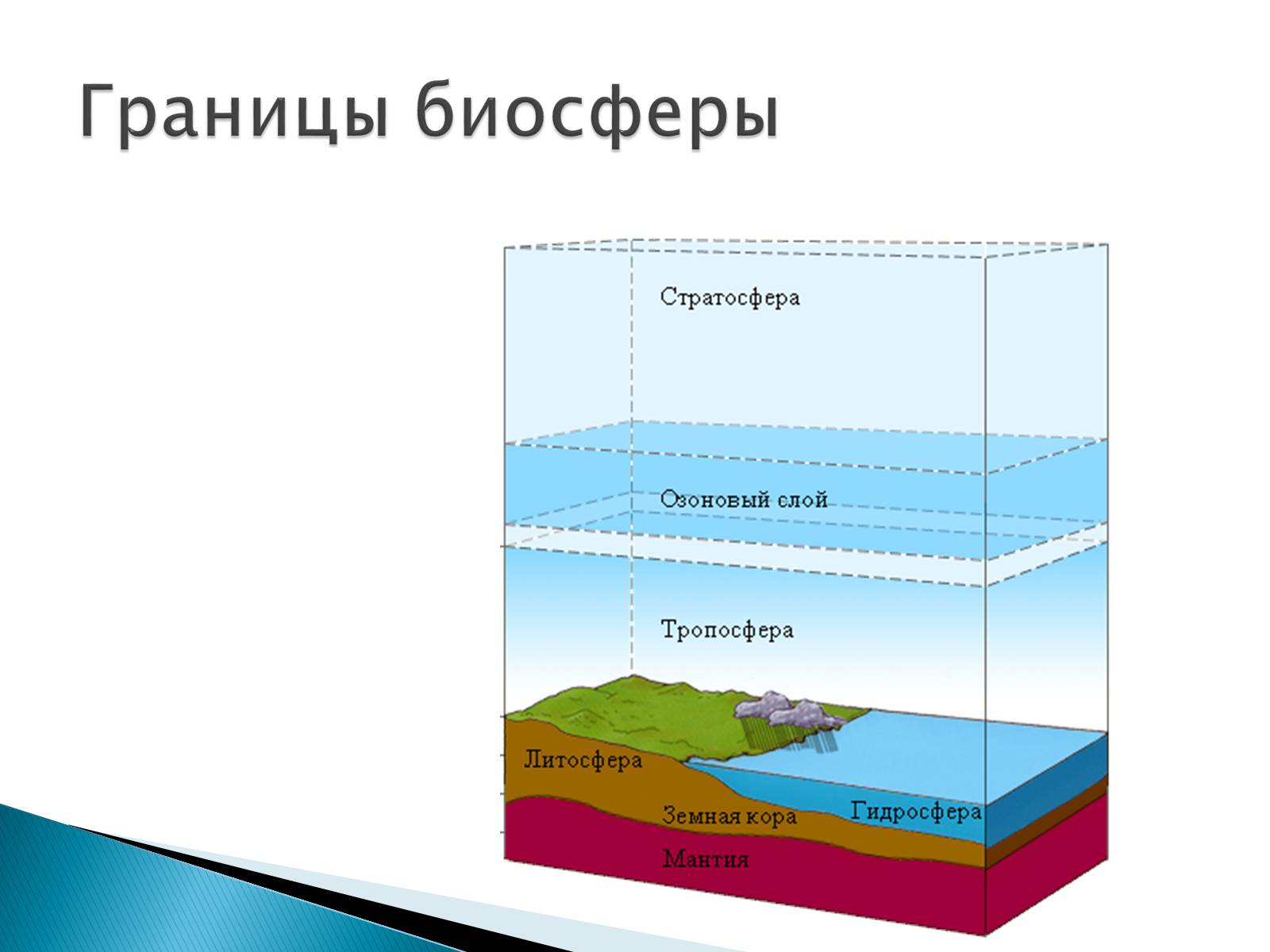 Презентація на тему «Структура биосферы» (варіант 2) - Слайд #7