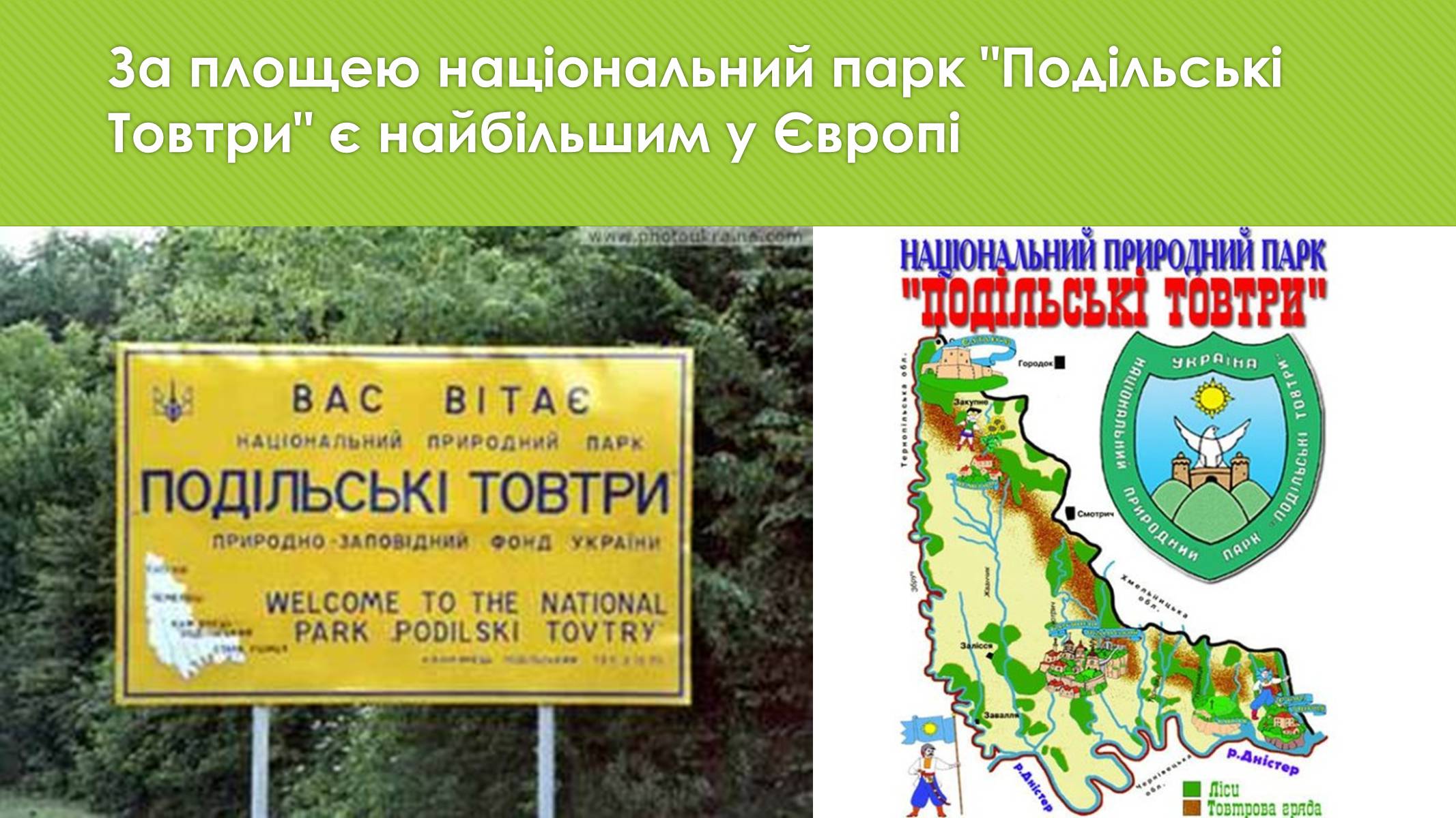 Презентація на тему «Національний природний парк «Подільські Товтри»» - Слайд #14