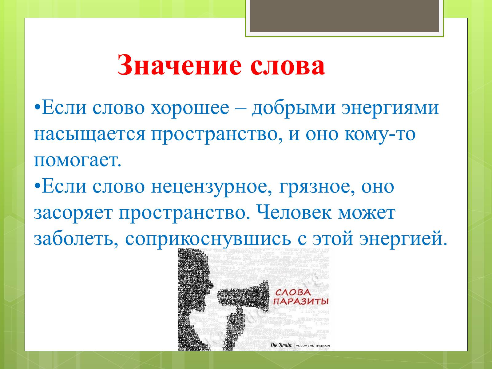 Презентація на тему «Чистота русской разговорной речи» - Слайд #10