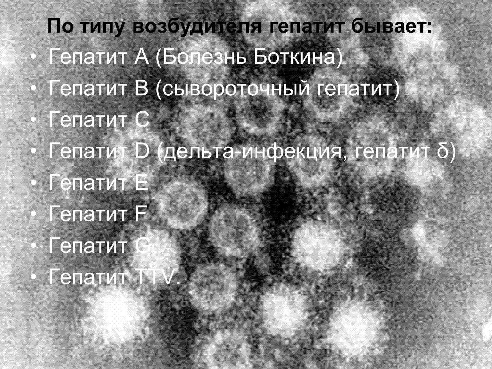 Презентація на тему «Вирусный гепатит» - Слайд #5