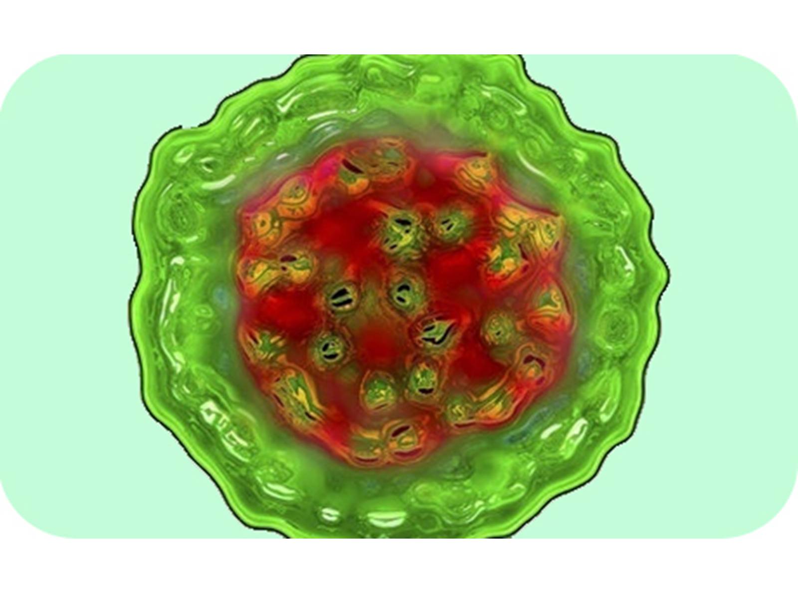 Презентація на тему «Вирусный гепатит» - Слайд #20