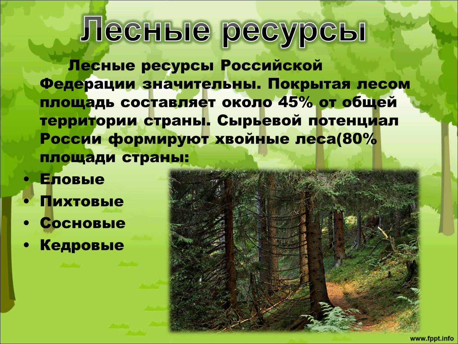 Презентація на тему «Лесной комплекс России» - Слайд #2