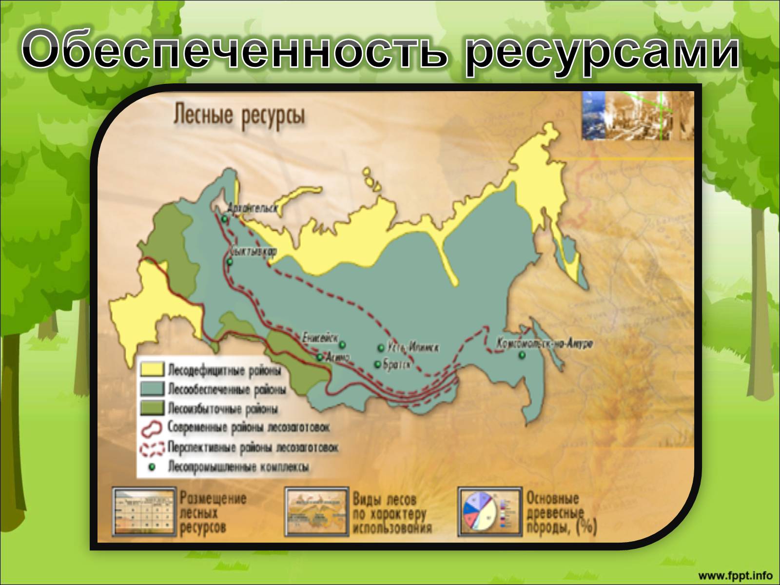 Презентація на тему «Лесной комплекс России» - Слайд #4