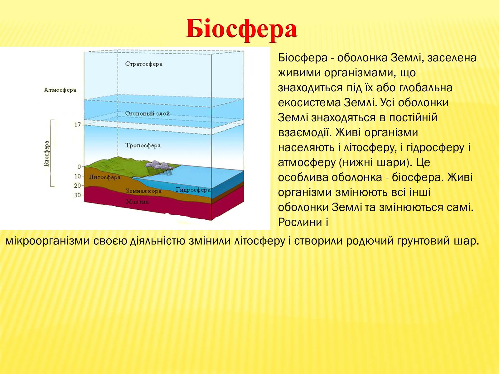 Презентація на тему «Основні положення вчення Вернадського про біосферу» - Слайд #4