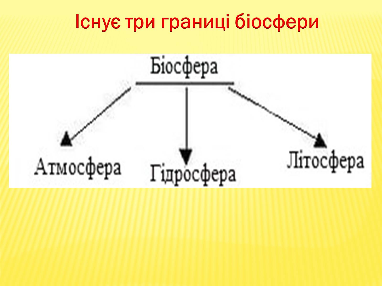 Презентація на тему «Основні положення вчення Вернадського про біосферу» - Слайд #6