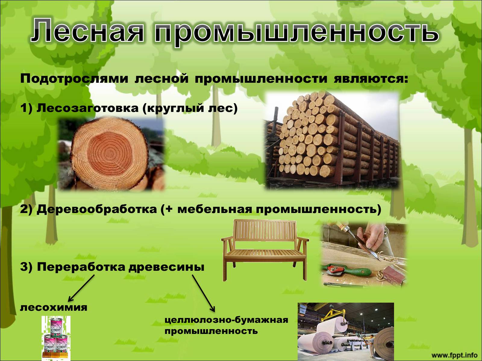 Презентація на тему «Лесной комплекс России» - Слайд #7
