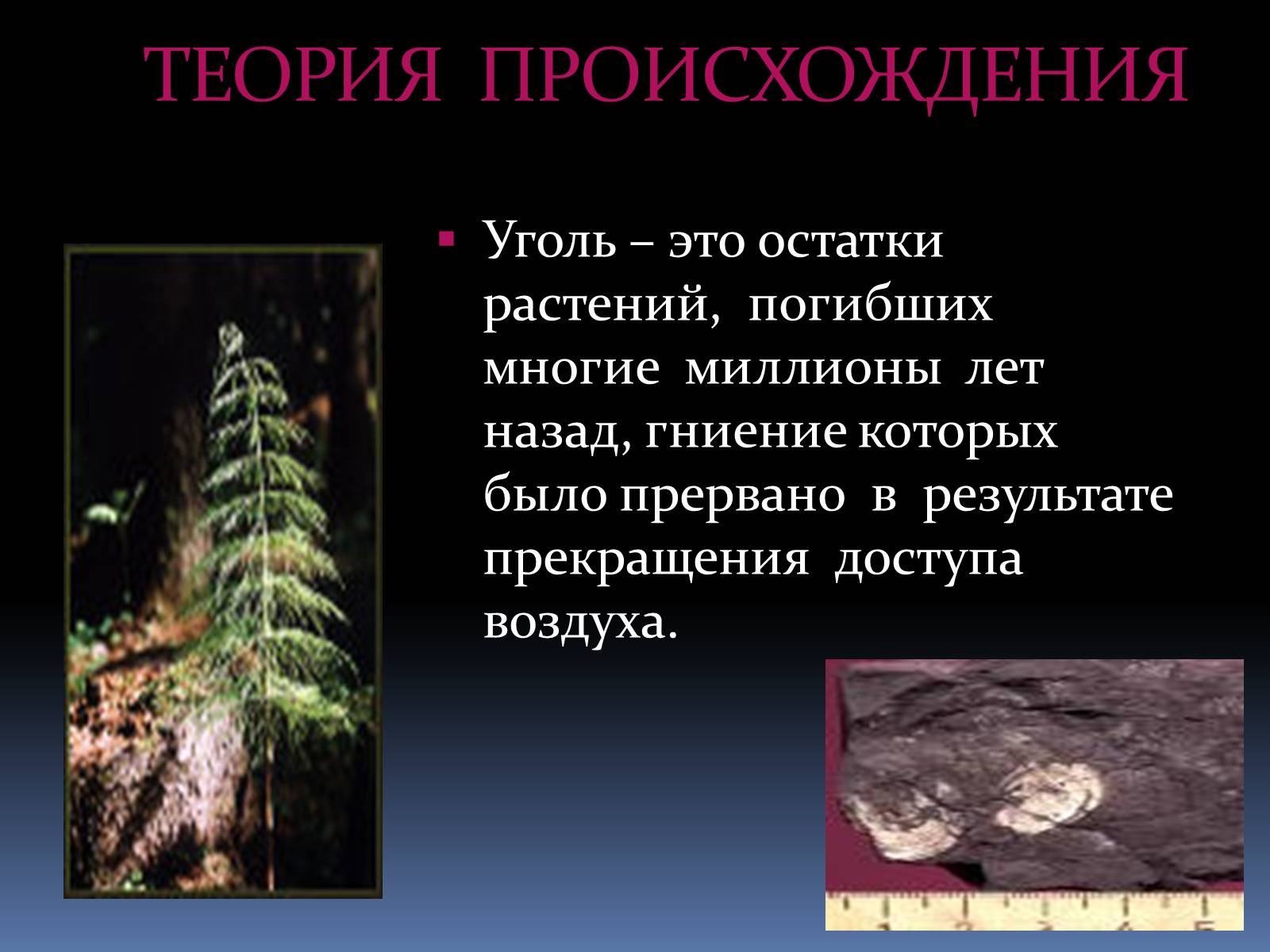 Презентація на тему «Каменный уголь» (варіант 2) - Слайд #2