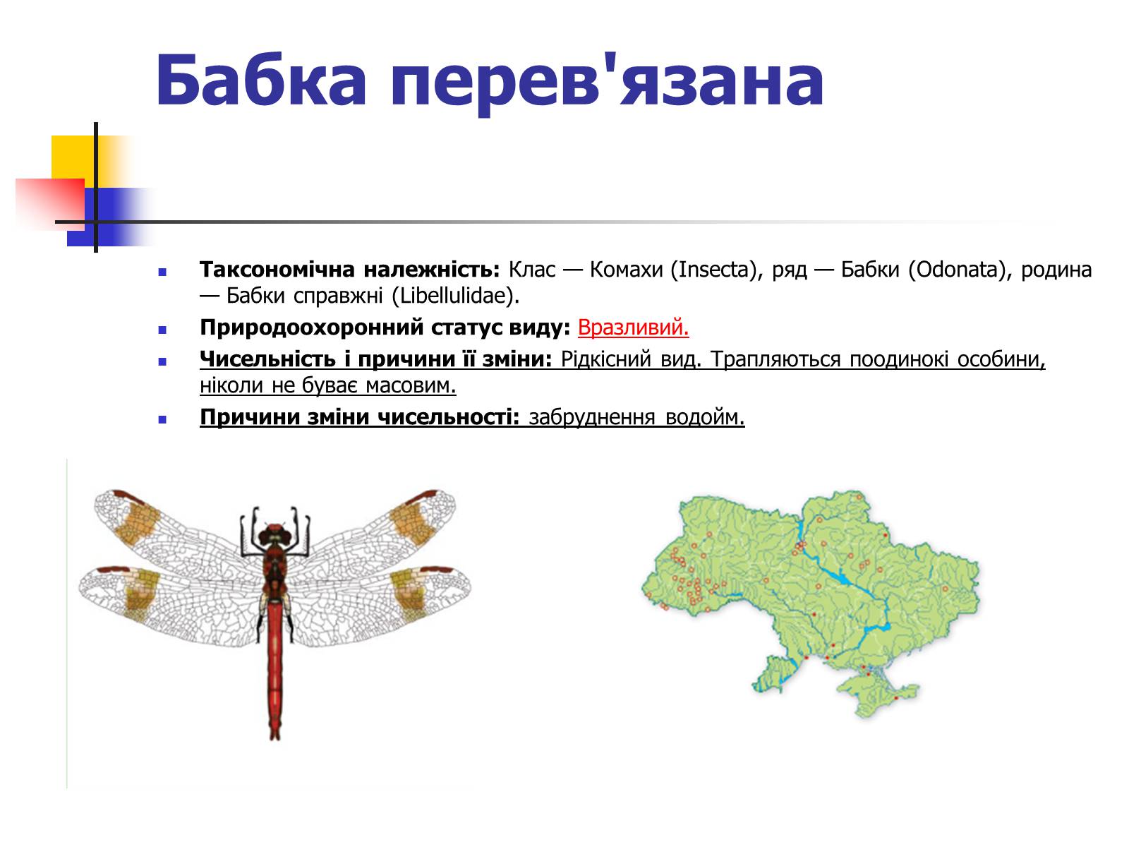 Презентація на тему «Червона книга України» (варіант 9) - Слайд #3