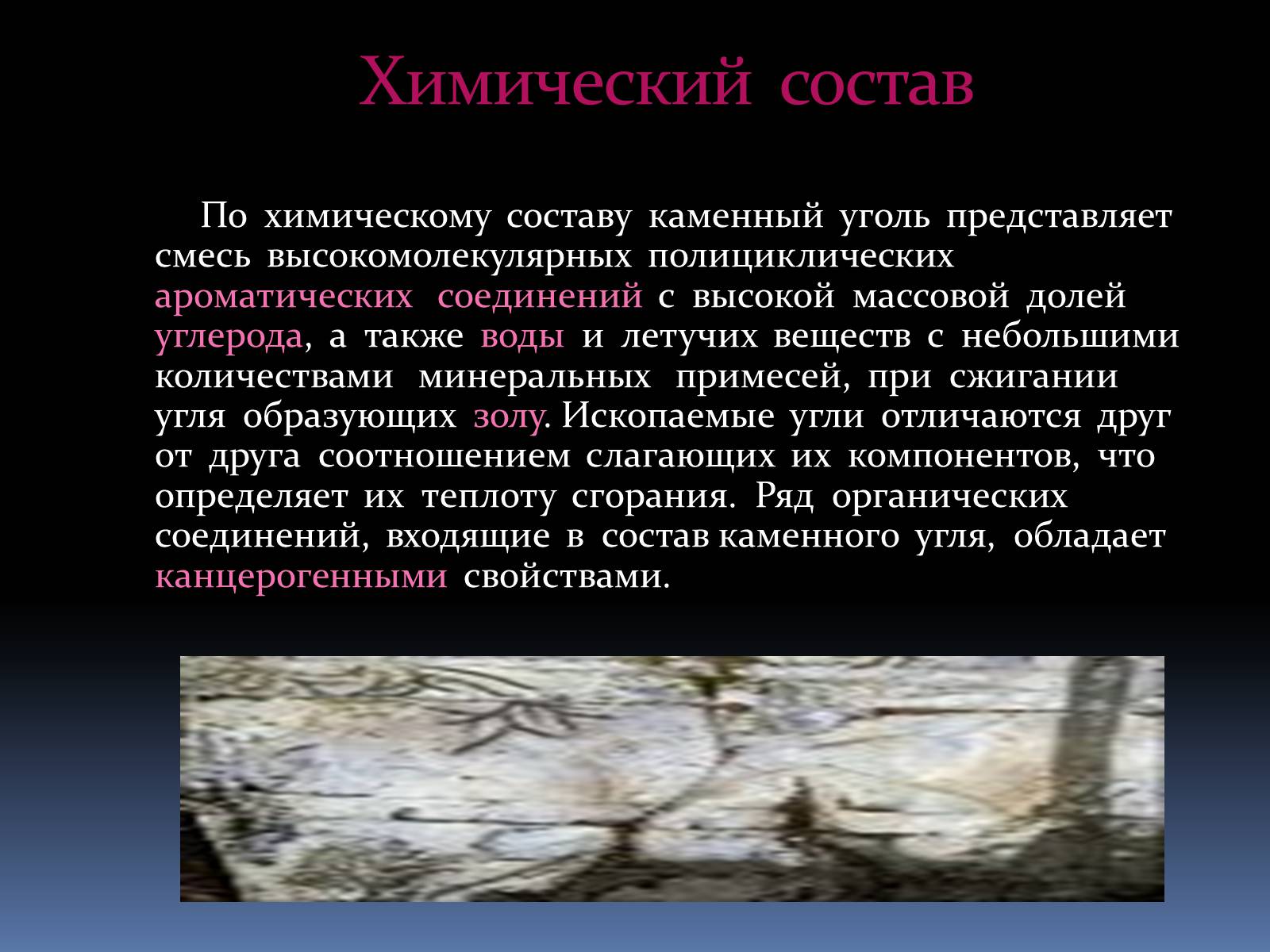 Презентація на тему «Каменный уголь» (варіант 2) - Слайд #10