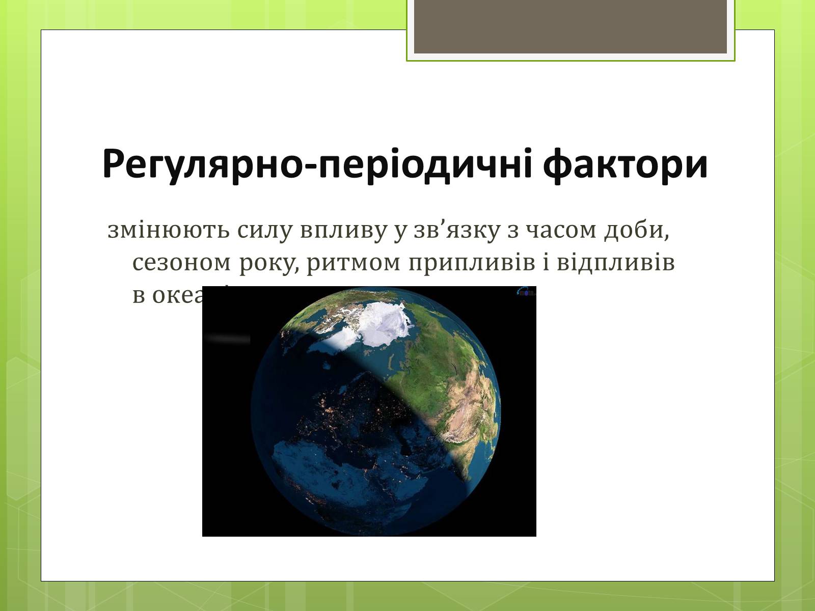 Презентація на тему «Екологічні фактори» (варіант 3) - Слайд #10