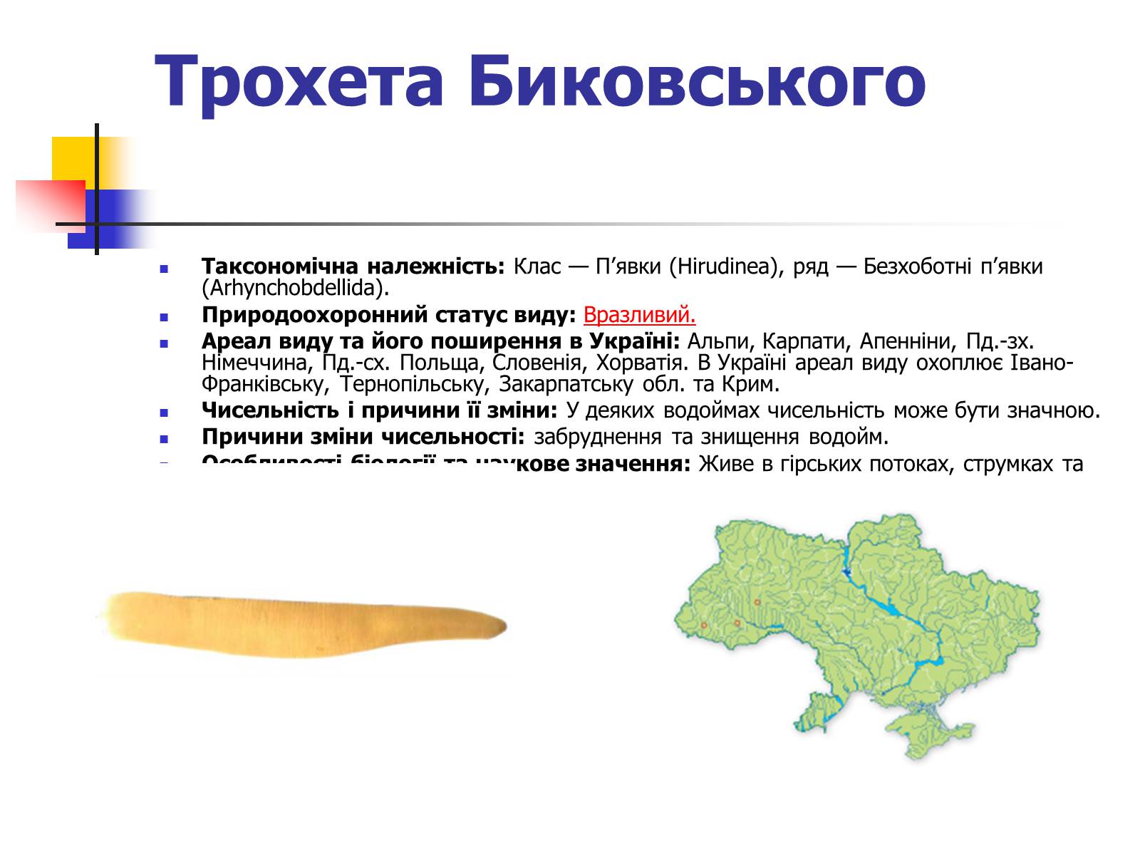 Презентація на тему «Червона книга України» (варіант 9) - Слайд #16