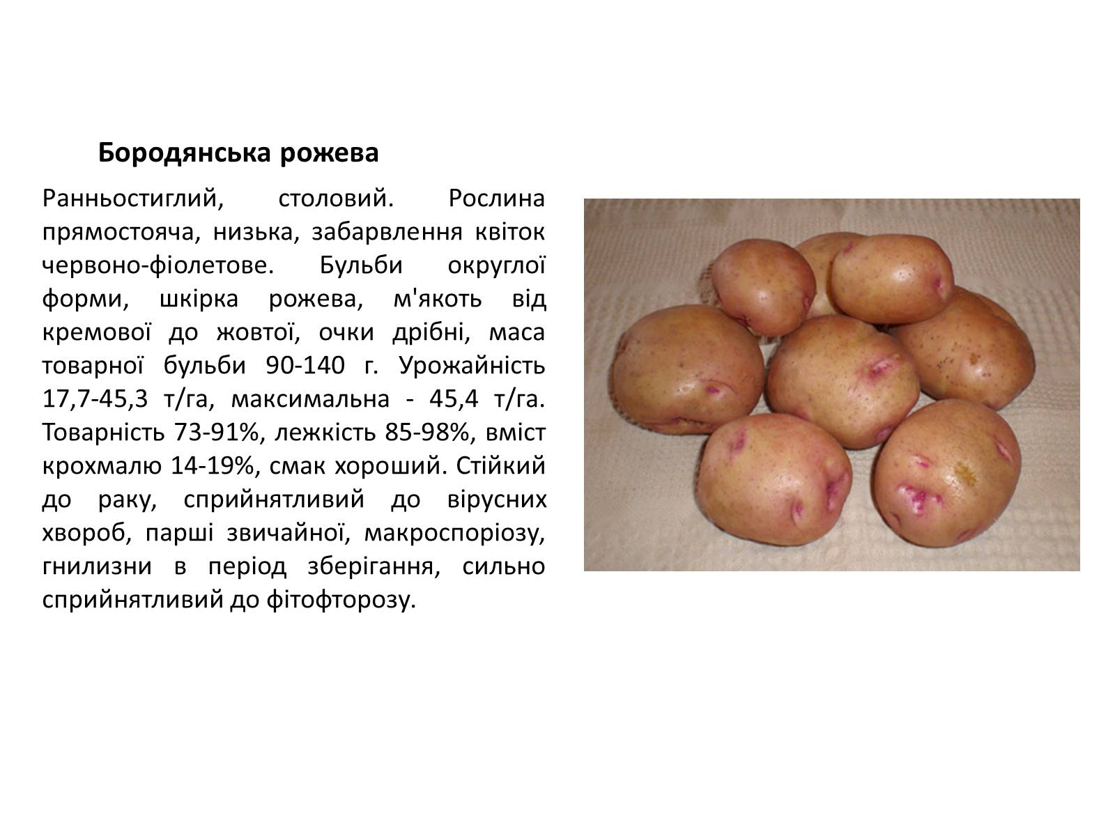 Презентація на тему «Сорти картоплі поширені в Україні» - Слайд #4