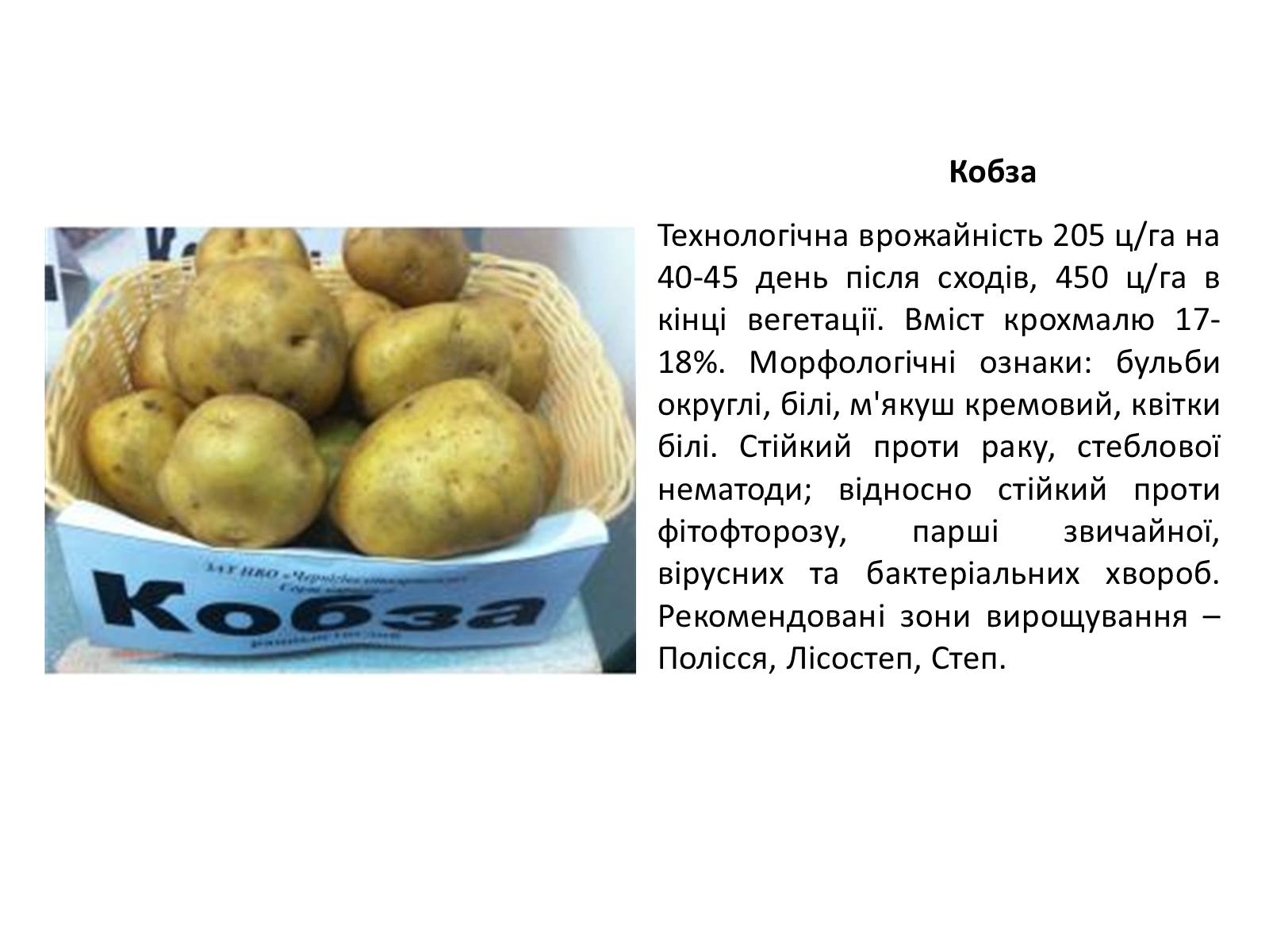 Презентація на тему «Сорти картоплі поширені в Україні» - Слайд #8
