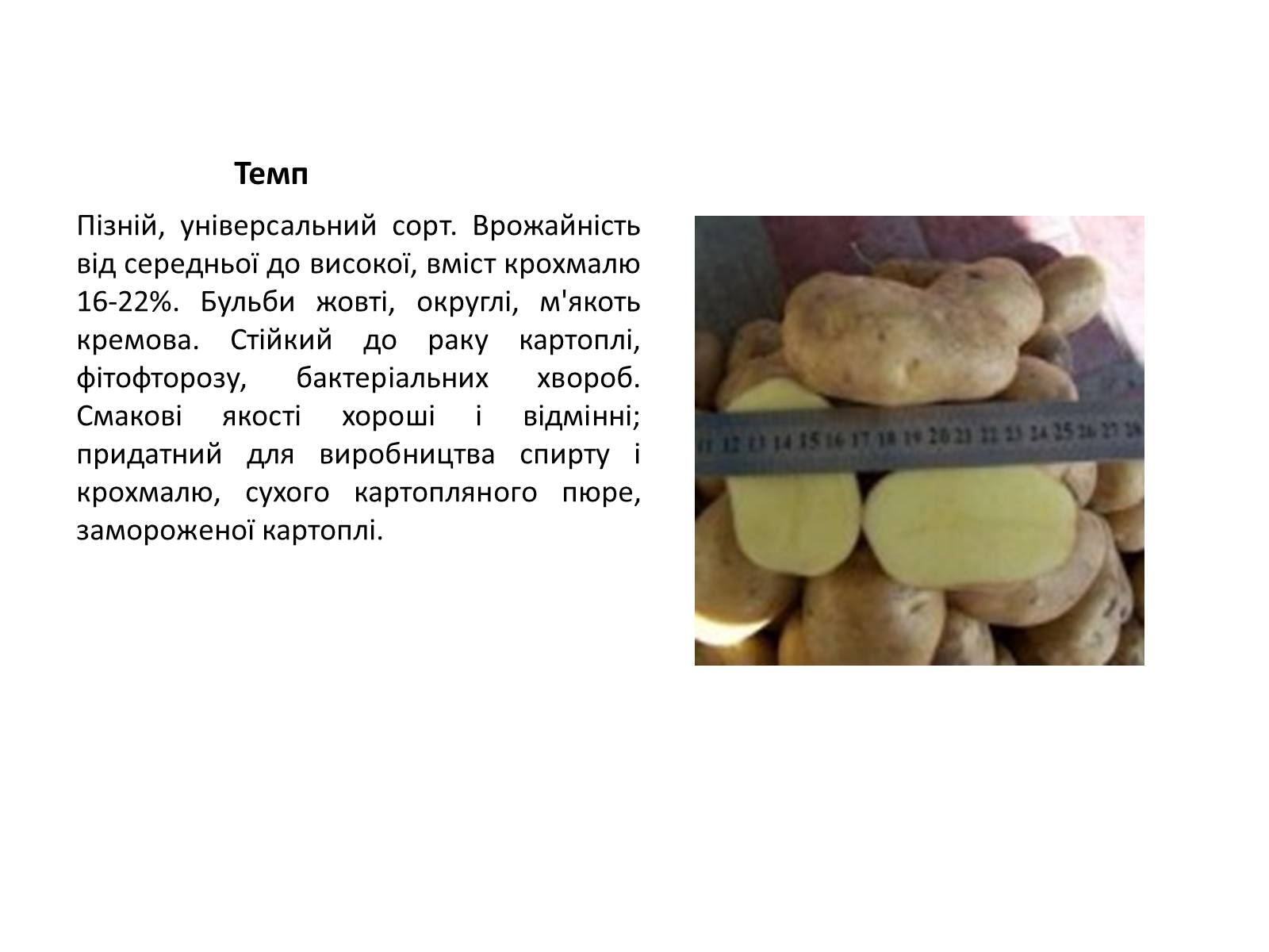 Презентація на тему «Сорти картоплі поширені в Україні» - Слайд #14