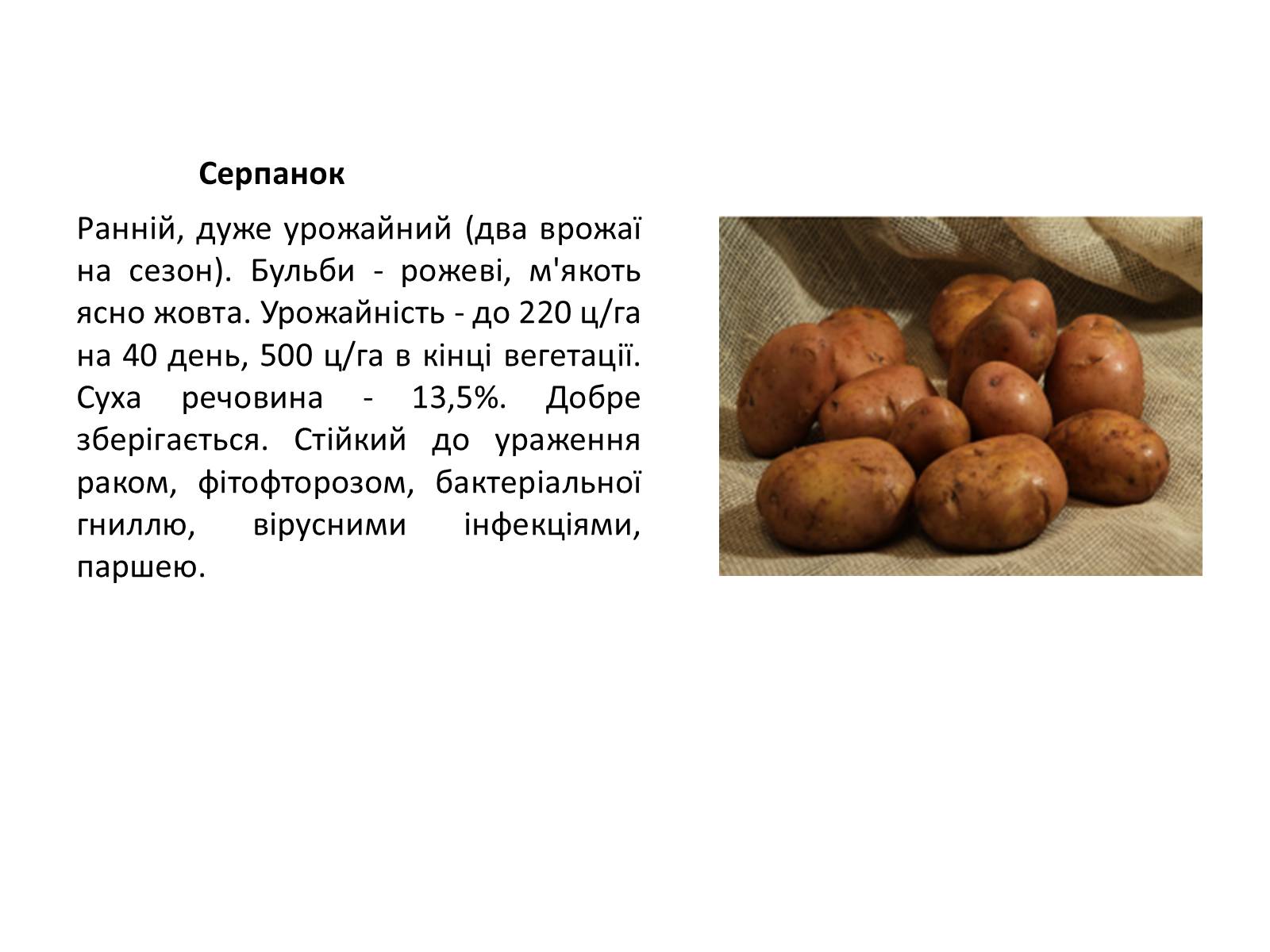 Презентація на тему «Сорти картоплі поширені в Україні» - Слайд #18