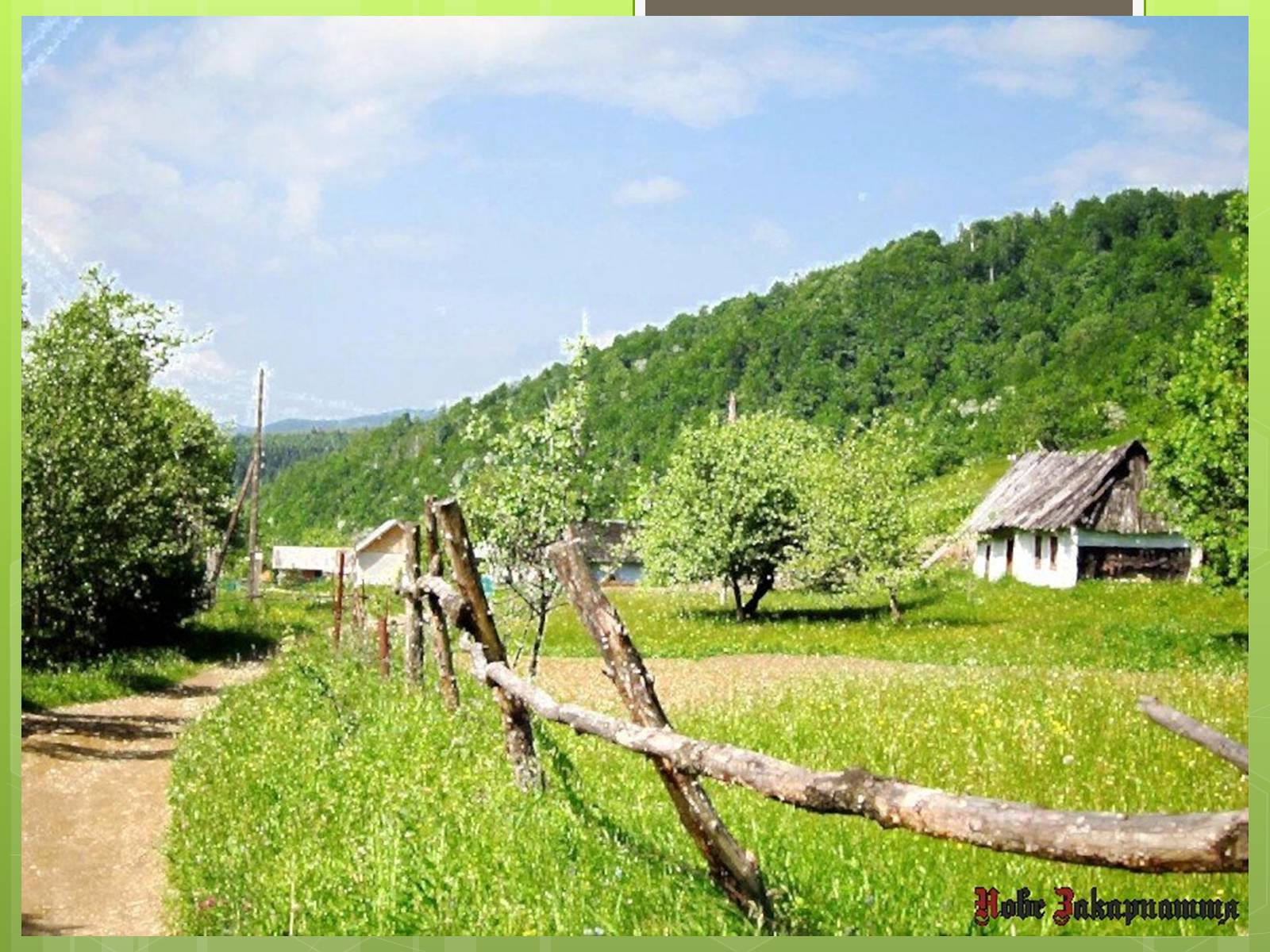 Презентація на тему «Екологічна ситуація в Україні» (варіант 2) - Слайд #22