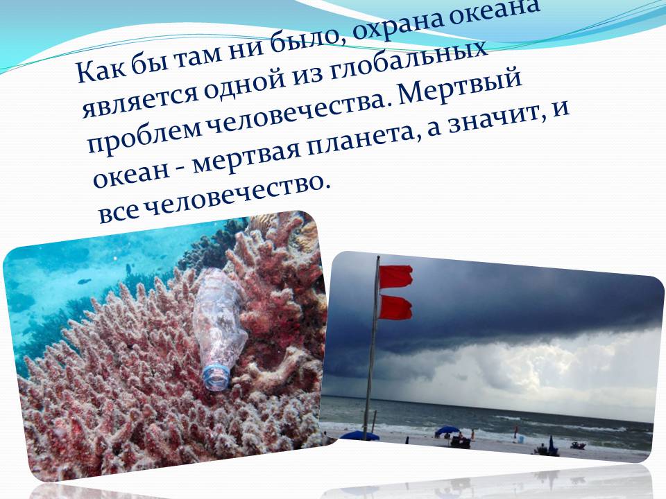 Презентація на тему «Влияние человека на загрязнение мирового океана» - Слайд #21