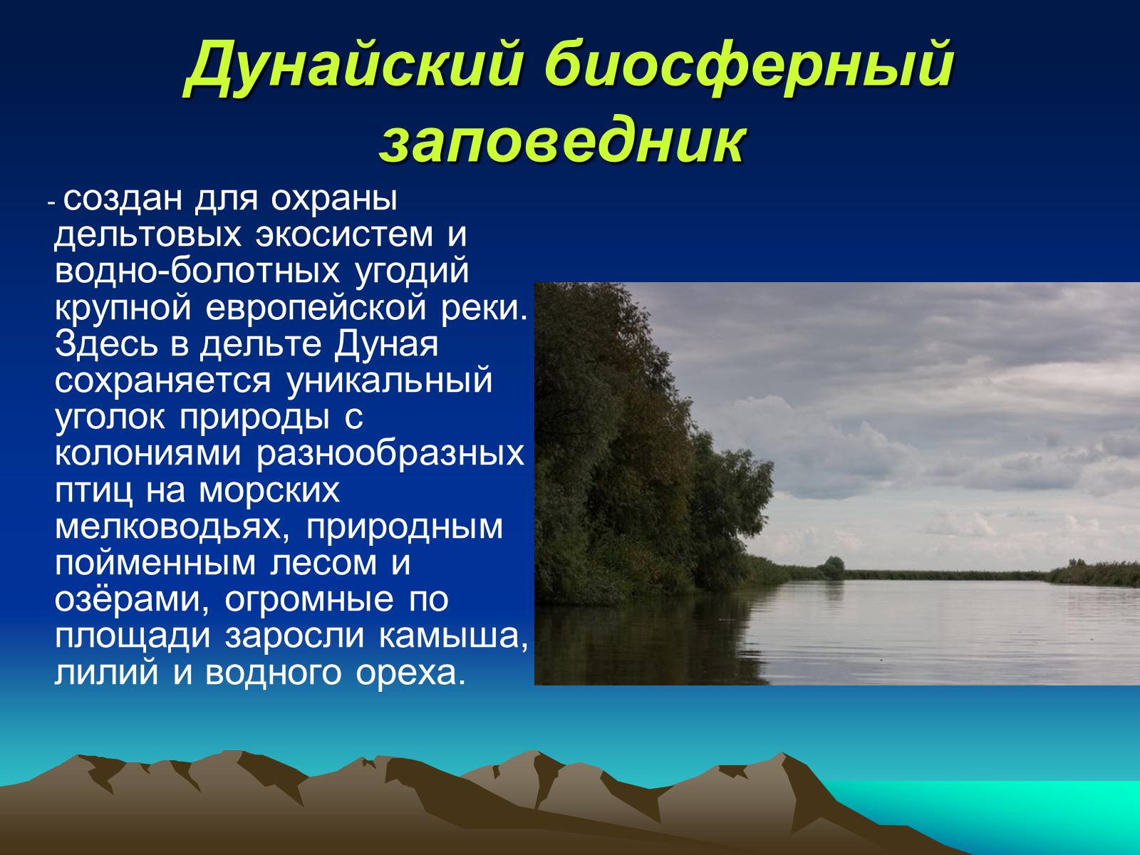 Презентація на тему «Заповедники Украины» (варіант 1) - Слайд #11