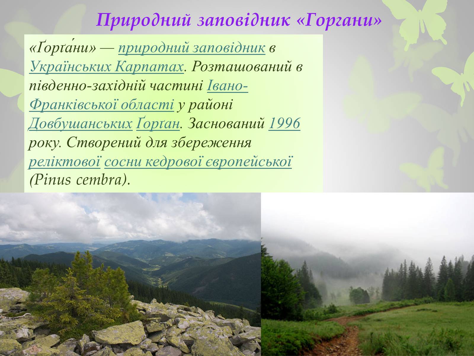 Презентація на тему «Природні заповідники України» (варіант 3) - Слайд #4