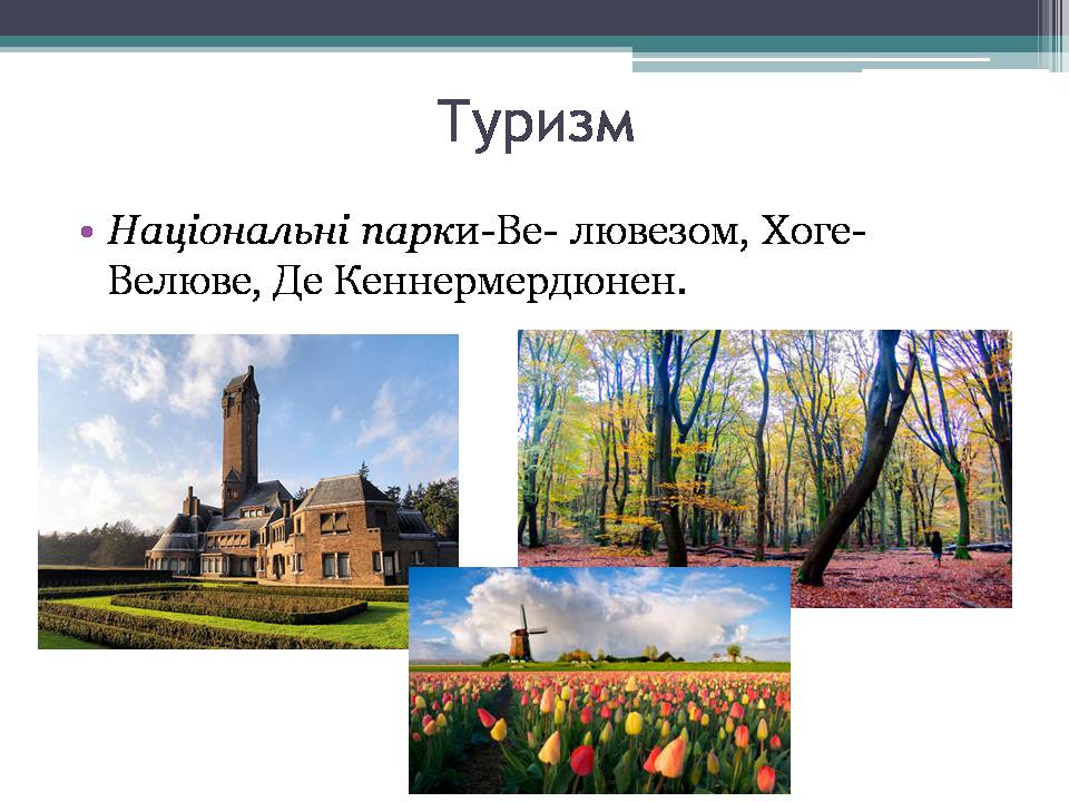 Презентація на тему «Королівство Нідерланди» (варіант 1) - Слайд #10