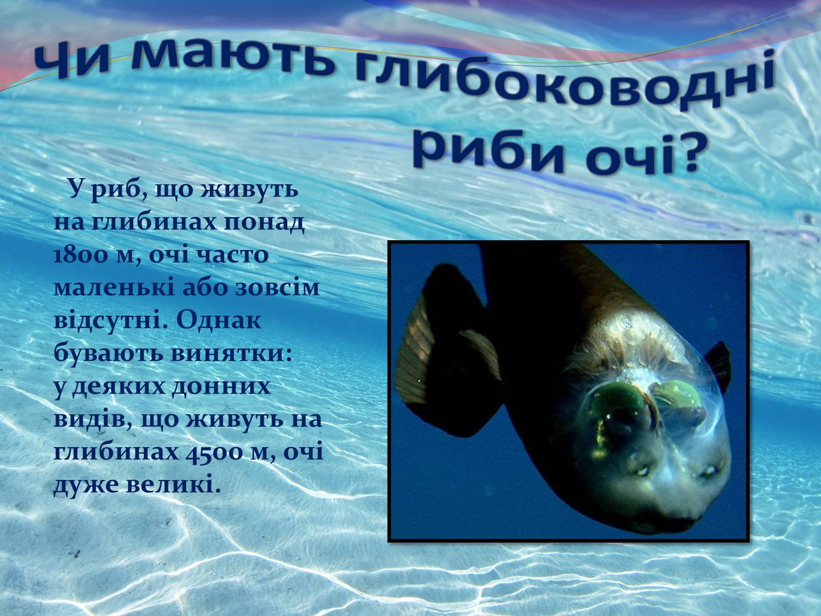 Презентація на тему «Цікаво про риб» - Слайд #6